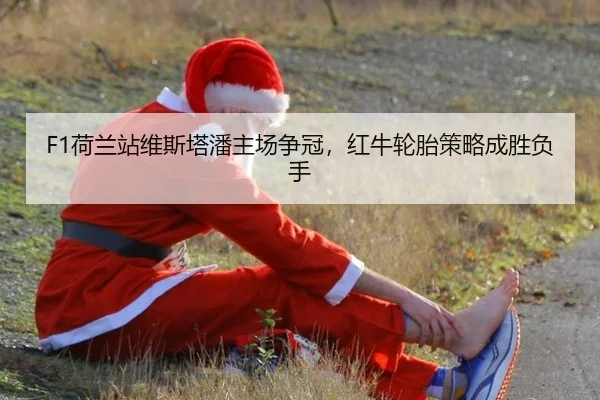 he-lan-zhan-wei-si-ta-pan-zhu-chang-zheng-guan-hong-niu-lun-tai-ce-lve-cheng-sheng-fu-shou-2-489.jpg