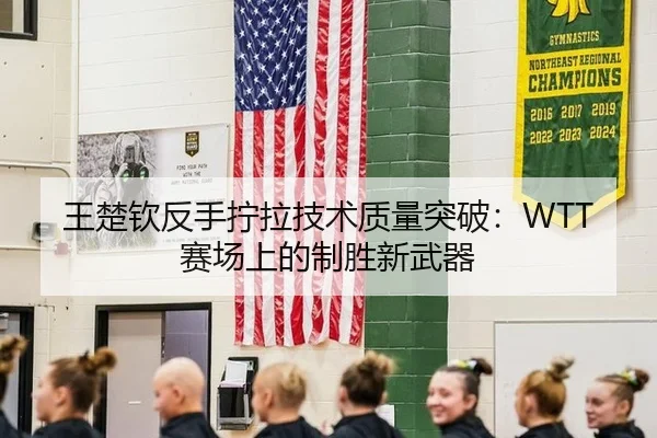 王楚钦反手拧拉技术质量突破：WTT赛场上的制胜新武器