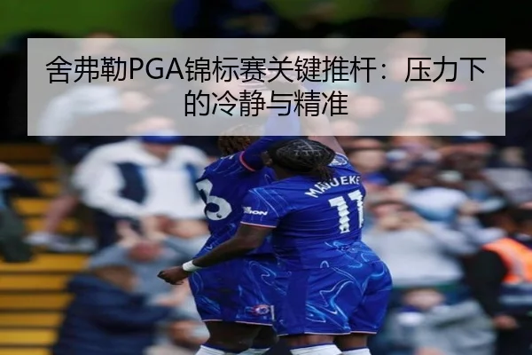 she-fu-lei-jin-biao-sai-guan-jian-tui-gan-ya-li-xia-de-leng-jing-yu-jing-zhun-2-736.jpg