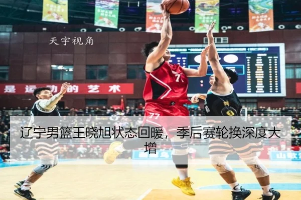 liao-ning-nan-lan-wang-xiao-xu-zhuang-tai-hui-nuan-ji-hou-sai-lun-huan-shen-du-da-zeng-3-225.jpg